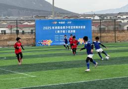 世界杯官网中文版-河南省青少年足球周末联赛总决赛开打