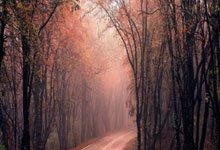 世界杯官网中文版-足球宝贝-微信投票评选活动