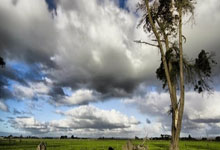 世界杯官网-赫罗纳股东大会：财务透明度与未来规划引关注